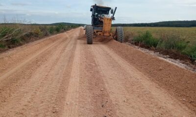 RECONSTRUCCIÓN DE LA CARRETERA PICH-LOS LAURELES (TRAMOS AISLADOS), LOCALIDAD LOS LAURELES, MUNICIPIO CHAMPECHE