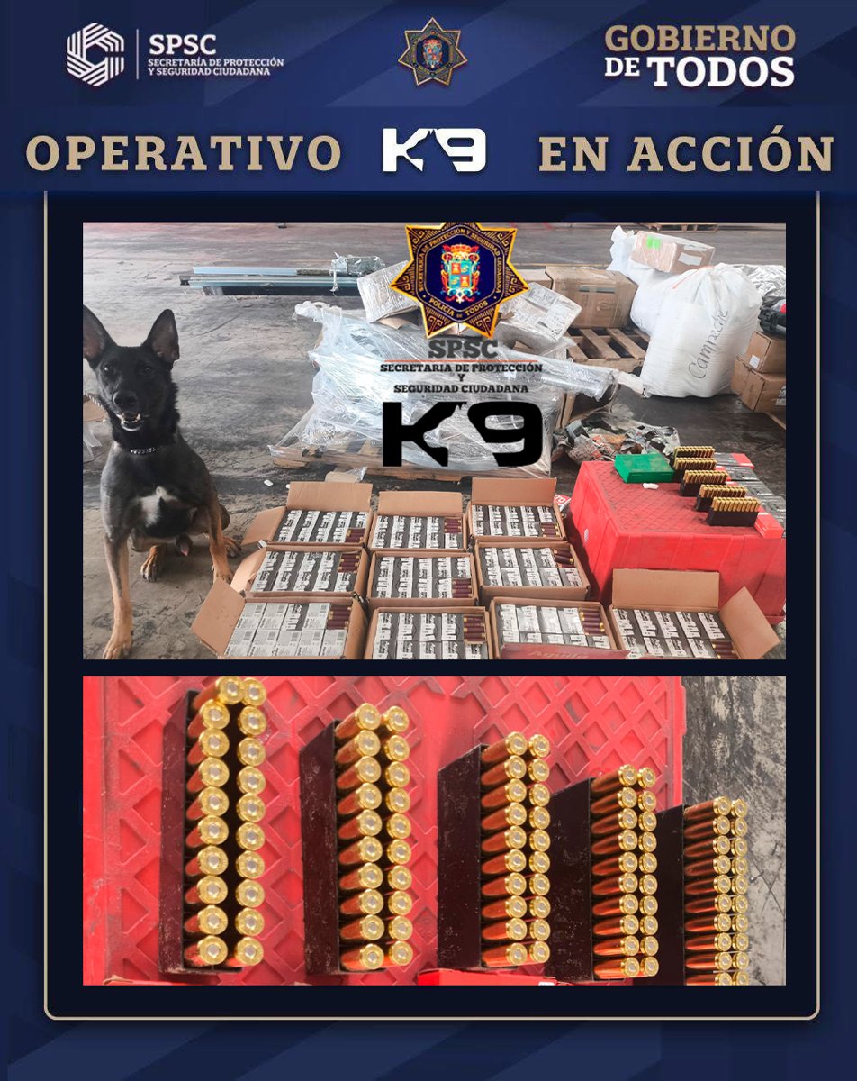 BINOMIO CANINO DETECTA Y ASEGURA MÁS DE 2 MIL MUNICIONES EN PAQUETERÍA