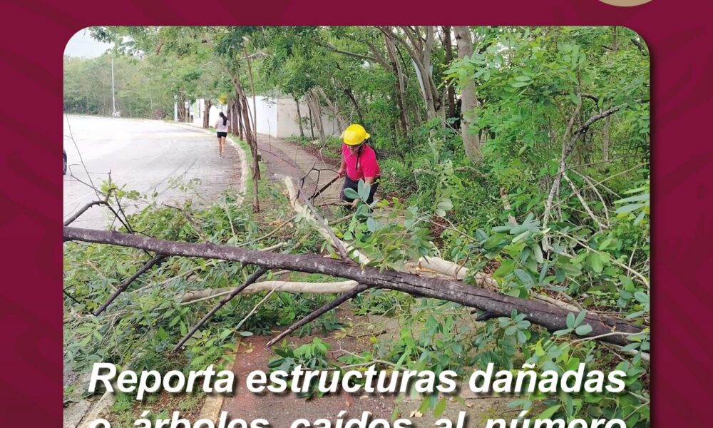 SE ESPERA EL ARRIBO DEL FRENTE FRIO No. 28 A LA ENTIDAD