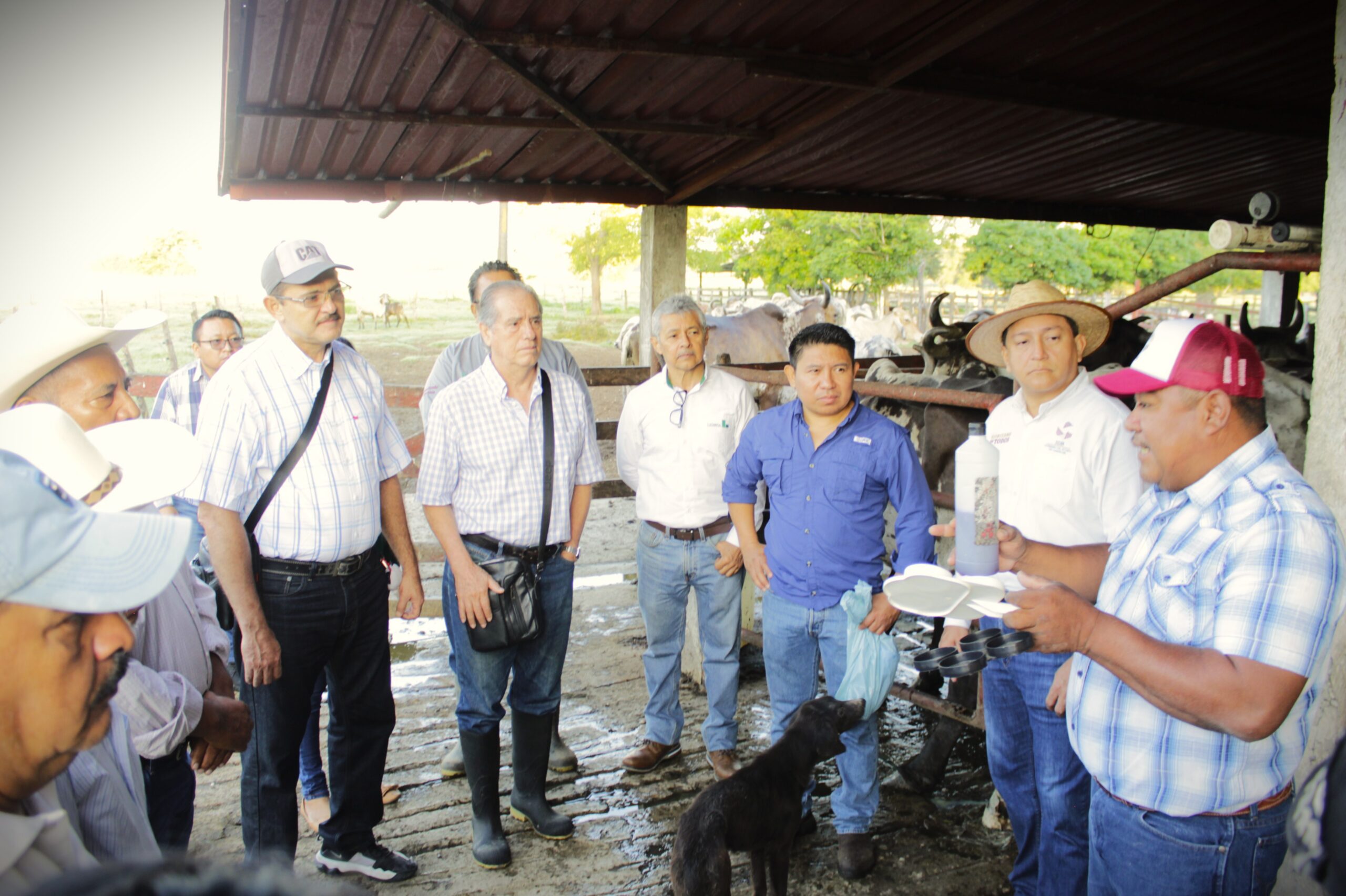 CAPACITACIÓN PARA MEJORAR LA PRODUCCIÓN LECHERA EN PALIZADA