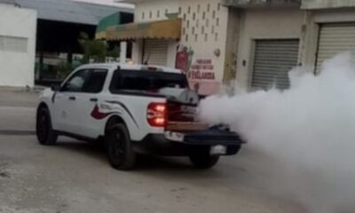 Se Intensifica El Combate Al Dengue En Champotón Y Escárcega