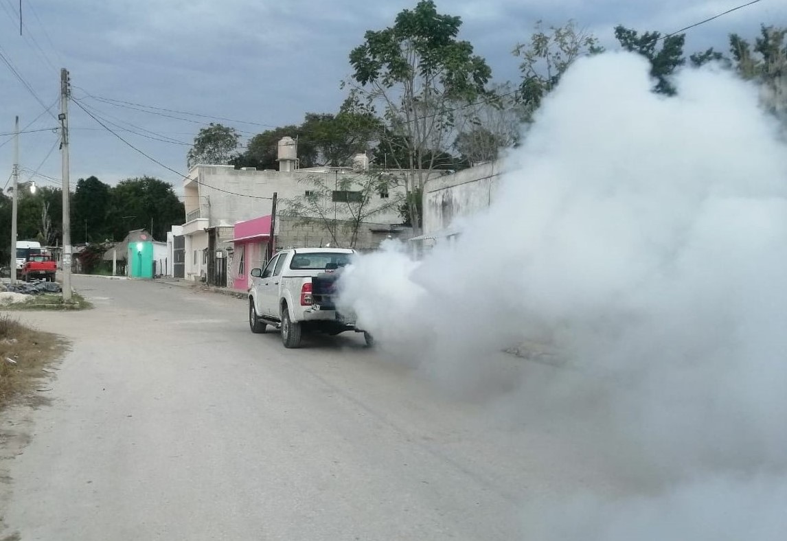 Se Intensifica El Combate Al Dengue En Champotón Y Escárcega