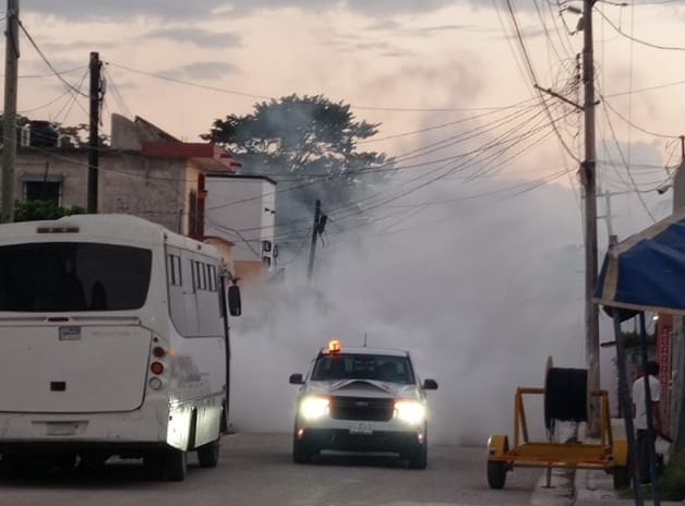 Se Intensifica El Combate Al Dengue En Champotón Y Escárcega