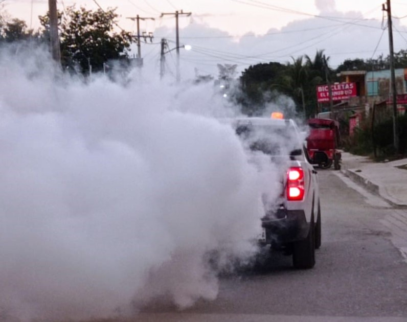 Se Intensifica El Combate Al Dengue En Champotón Y Escárcega