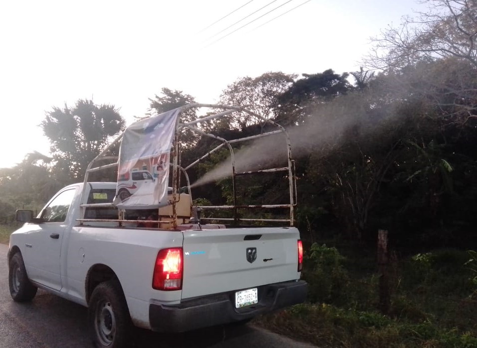 Intensifican Acciones Contra El Mosco Tránsmisor Del Dengue En Carmen Y Palizada