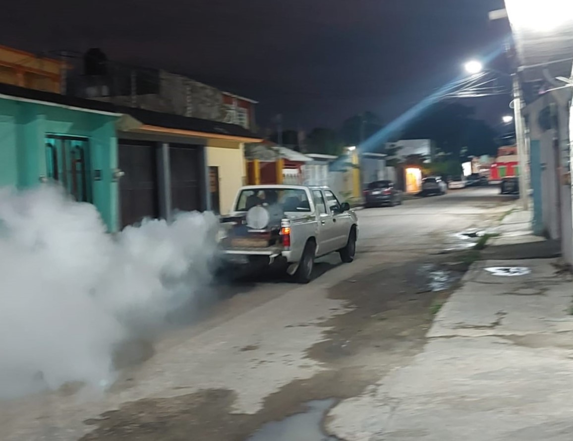 Intensifican Acciones Contra El Mosco Tránsmisor Del Dengue En Carmen Y Palizada