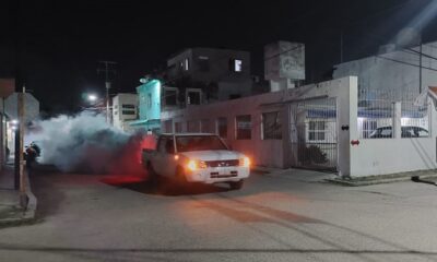 Intensifican Acciones Contra El Mosco Tránsmisor Del Dengue En Carmen Y Palizada