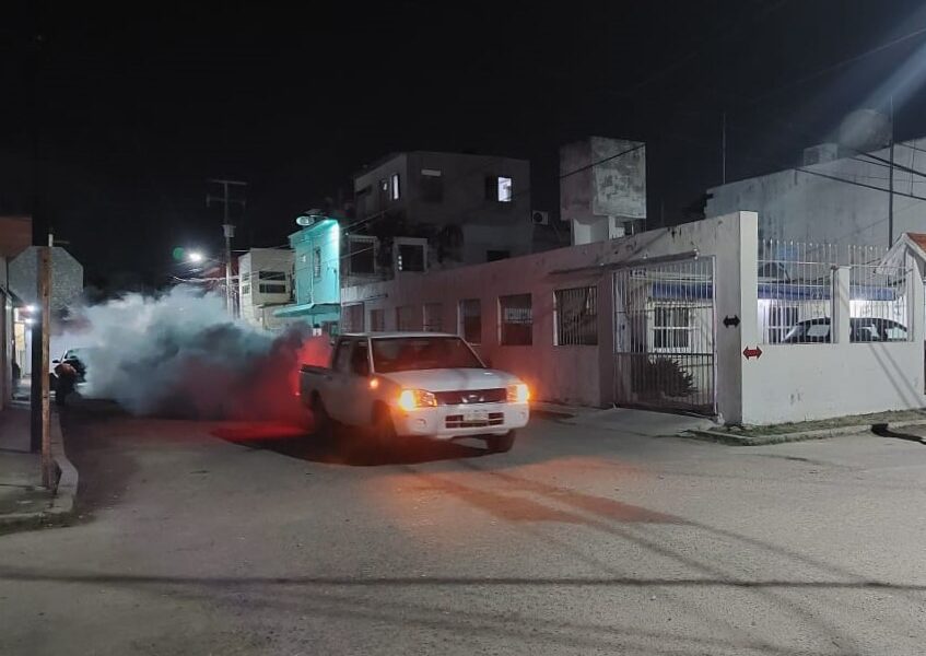 Intensifican Acciones Contra El Mosco Tránsmisor Del Dengue En Carmen Y Palizada