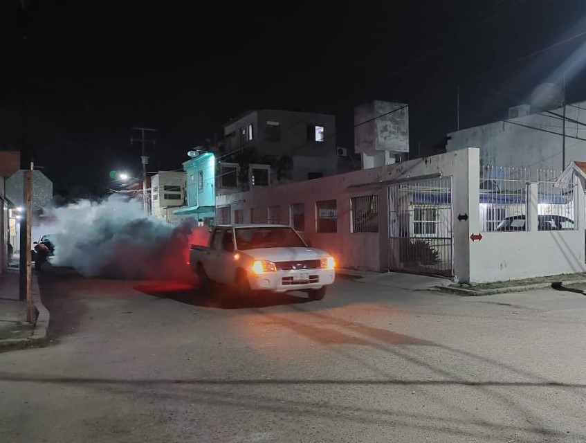 Intensifican Acciones Contra El Mosco Tránsmisor Del Dengue En Carmen Y Palizada