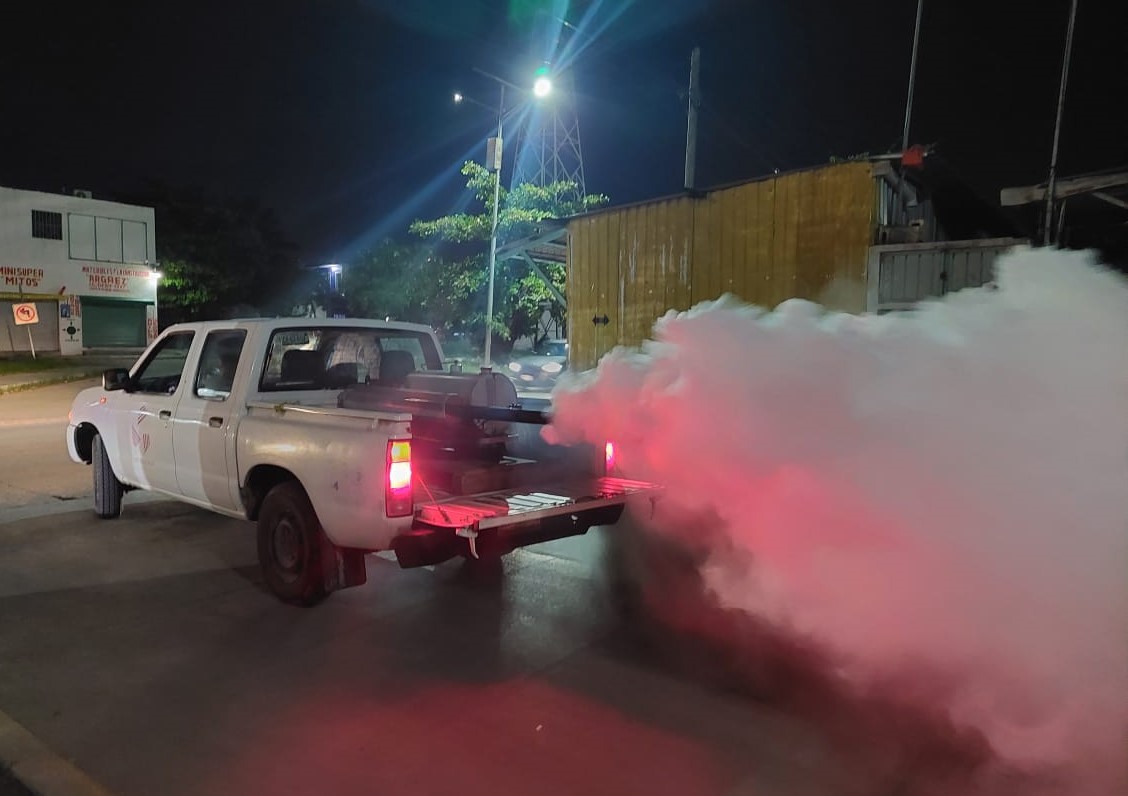 Intensifican Acciones Contra El Mosco Tránsmisor Del Dengue En Carmen Y Palizada