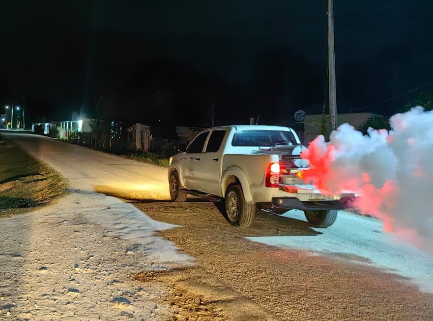 Intensifican Acciones Contra El Mosco Tránsmisor Del Dengue En Carmen Y Palizada