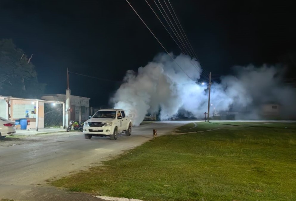 Intensifican Acciones Contra El Mosco Tránsmisor Del Dengue En Carmen Y Palizada