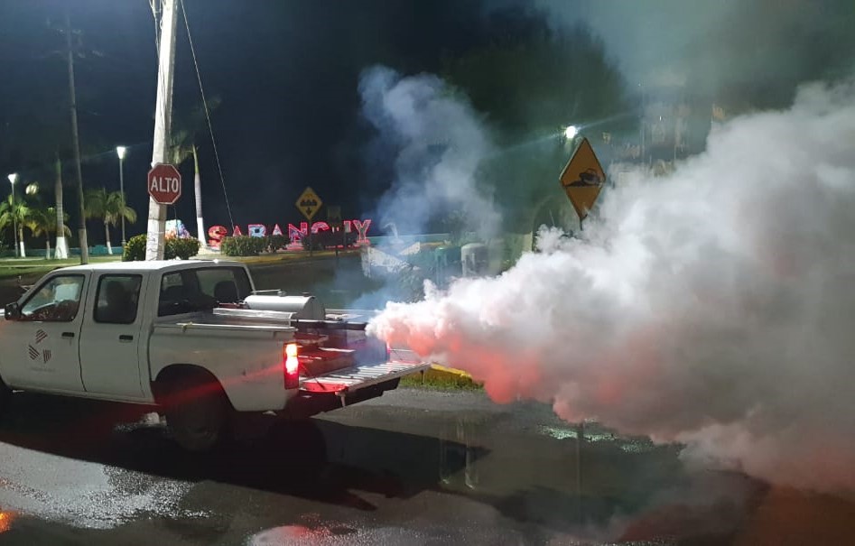 Intensifican Acciones Contra El Mosco Tránsmisor Del Dengue En Carmen Y Palizada