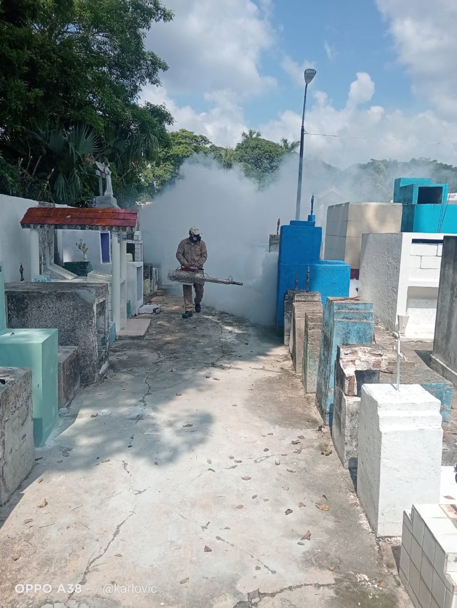 PROTEGEN SALUD DE PALICEÑOS CON LABORES DE CONTROL DEL MOSQUITOS EN PANTEONES