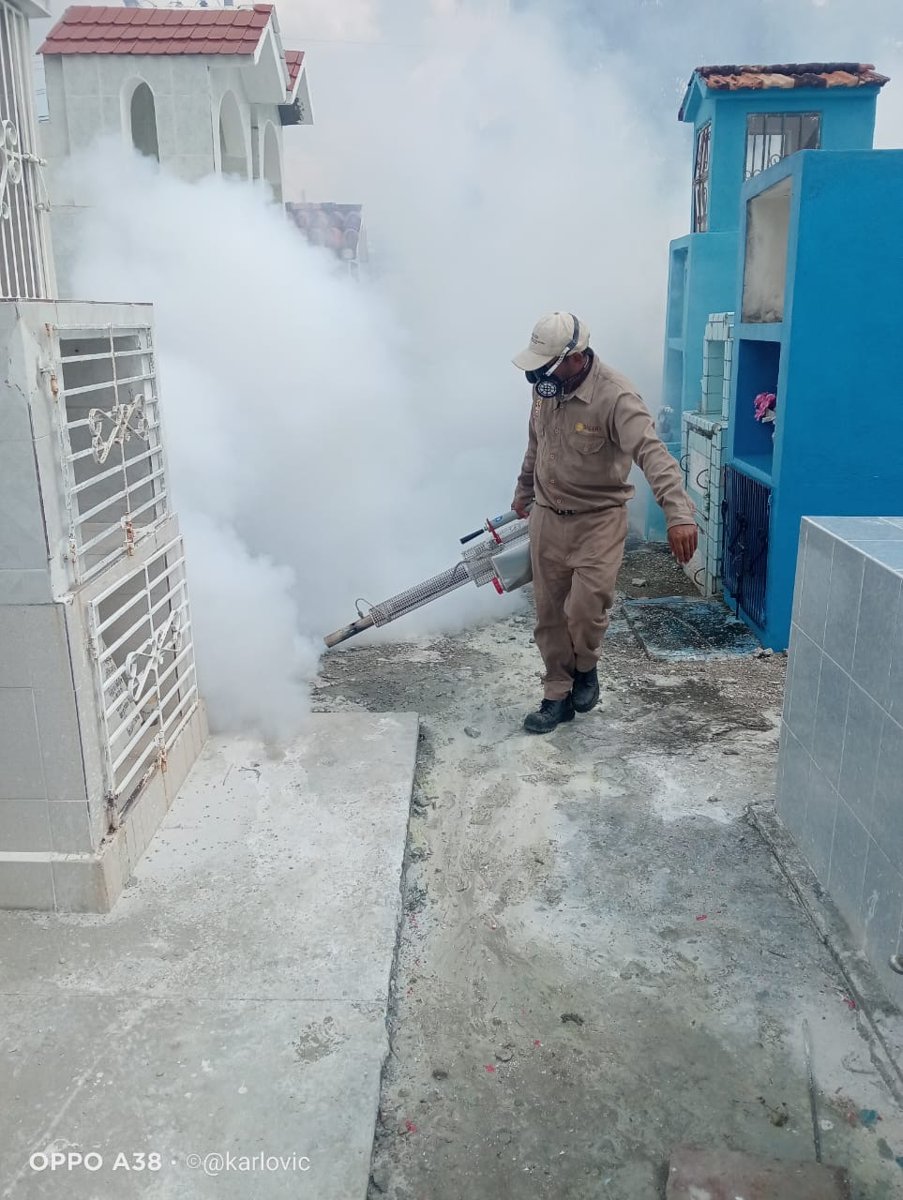 PROTEGEN SALUD DE PALICEÑOS CON LABORES DE CONTROL DEL MOSQUITOS EN PANTEONES