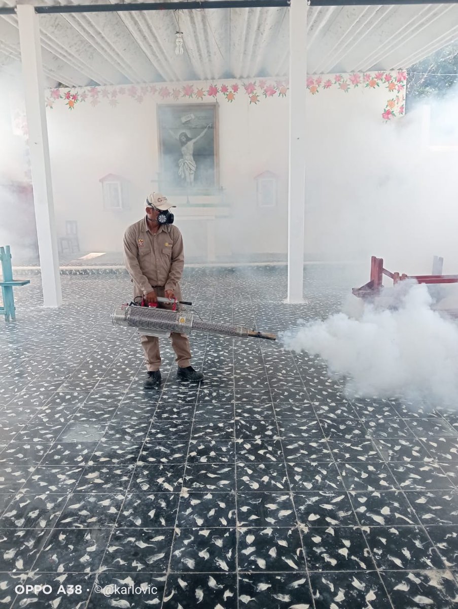 PROTEGEN SALUD DE PALICEÑOS CON LABORES DE CONTROL DEL MOSQUITOS EN PANTEONES