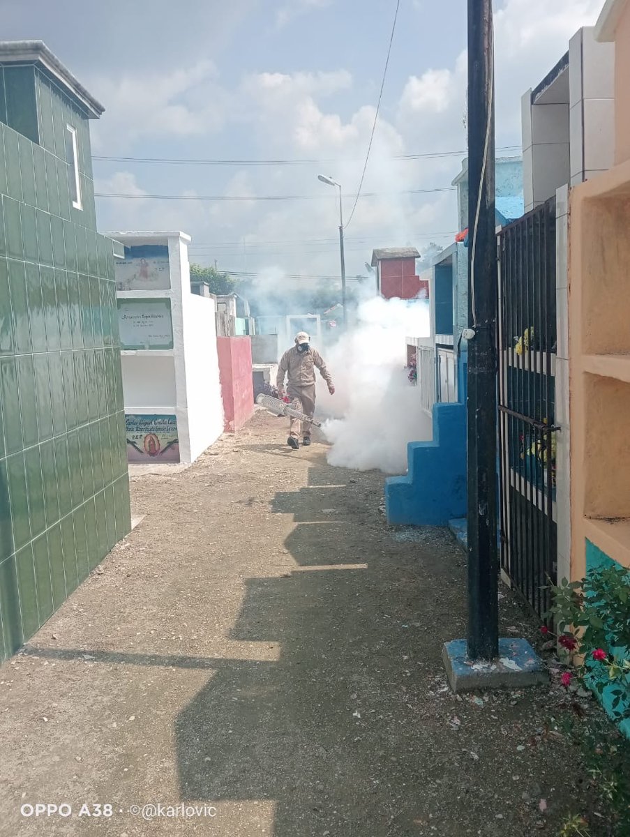 PROTEGEN SALUD DE PALICEÑOS CON LABORES DE CONTROL DEL MOSQUITOS EN PANTEONES