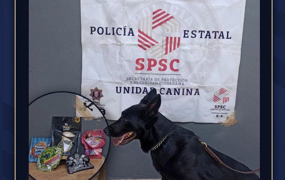 PAQUETE ASEGURADO EN CAMPECHE