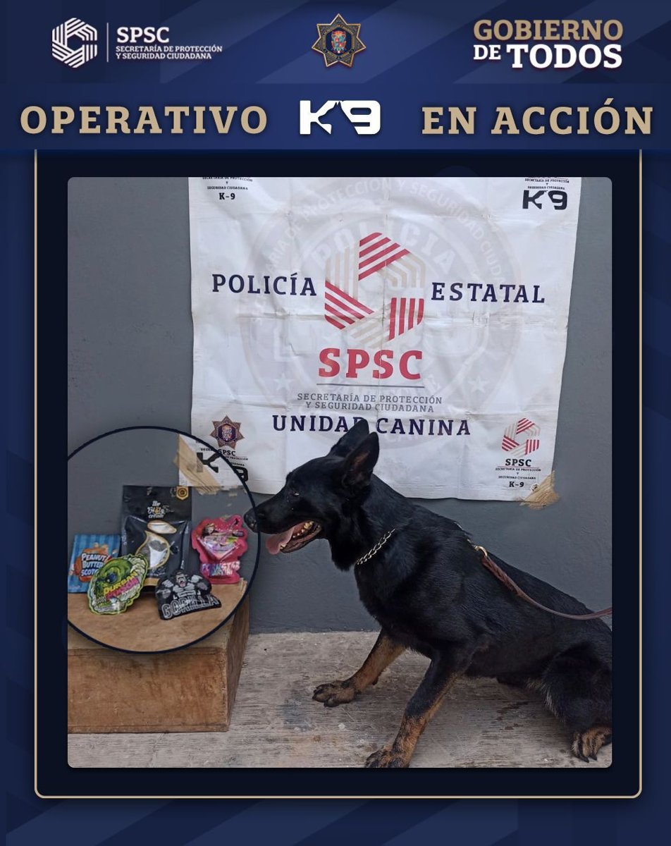 PAQUETE ASEGURADO EN CAMPECHE