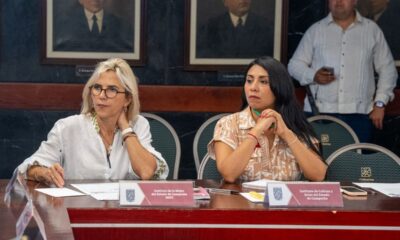 AVANZA CAMPECHE EN ACCIONES INTEGRALES PARA LA SALUD MENTAL