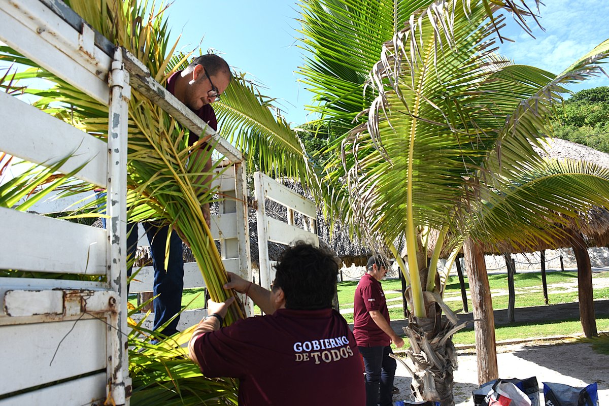 RESTAURAN EL ECOSISTEMA COSTERO DE PLAYA BONITA