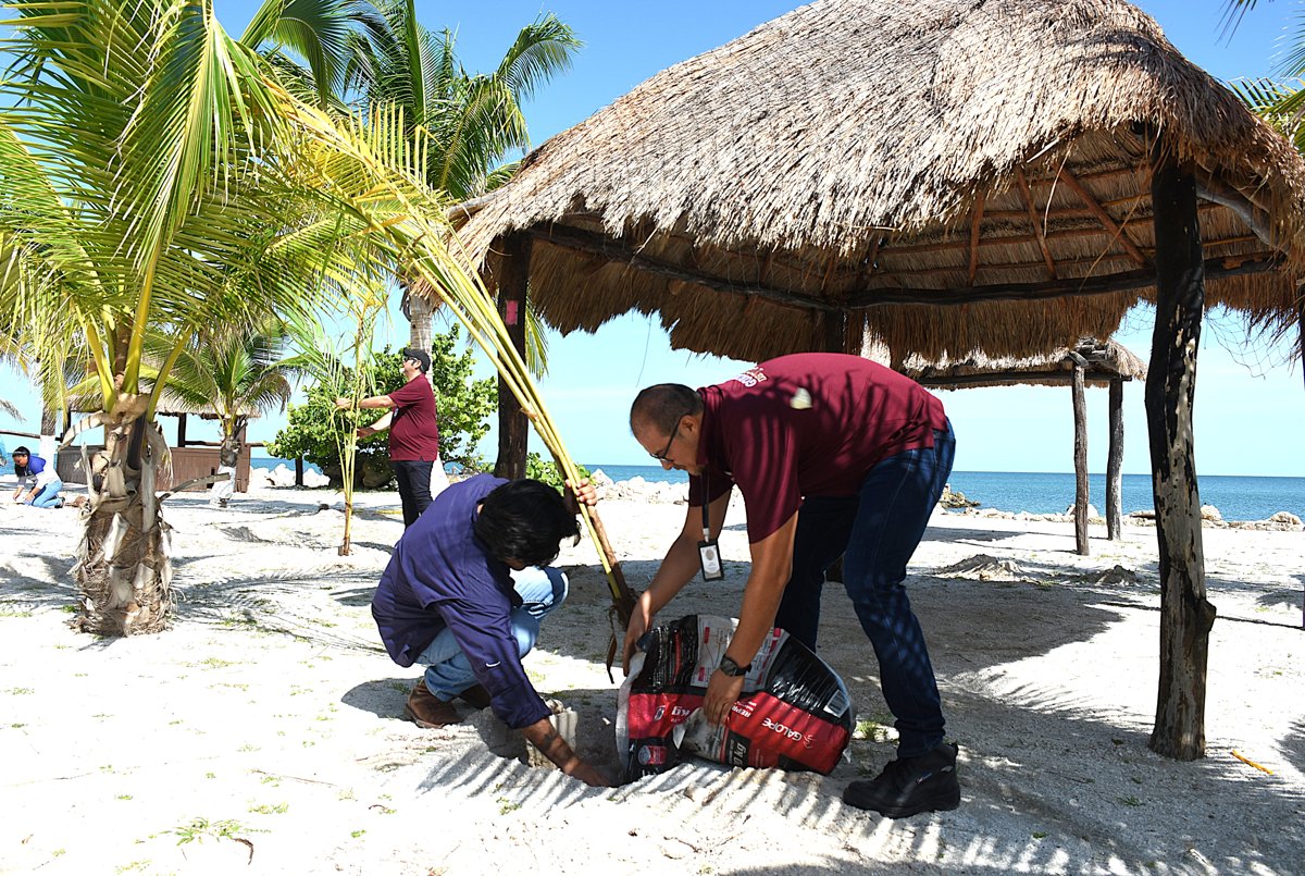 RESTAURAN EL ECOSISTEMA COSTERO DE PLAYA BONITA