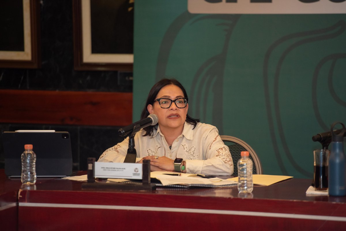 LA GOBERNADORA LAYDA SANSORES SE REÚNE CON LA DIRECTORA DE LA CFE PARA REFORZAR LA COORDINACIÓN ENERGÉTICA