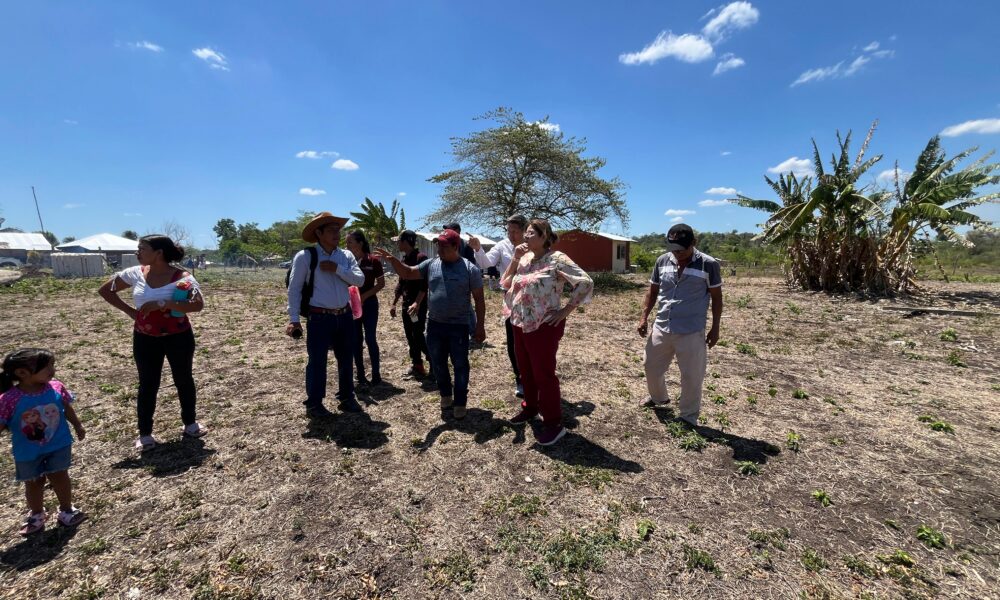 3.2 MDP PARA ALUMBRAR VIVIENDAS EN EL MUNICIPIO DE CANDELARIA