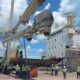 CON AUMENTO EN ARRIBOS Y CARGA GENERAL, CERRARON EL 2023 LOS PUERTOS DEL ESTADO