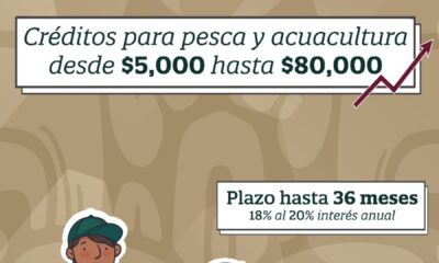 BANCAMPECHE