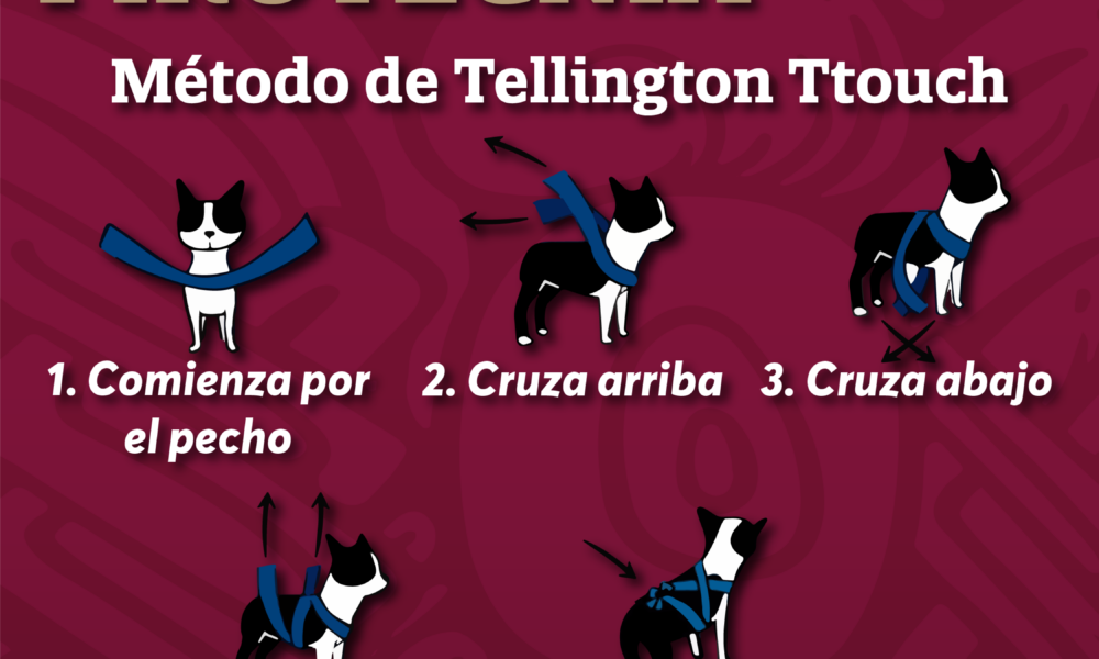 IMÁGENES: https:/ /we.tl/t-Mao9OQ7OJx