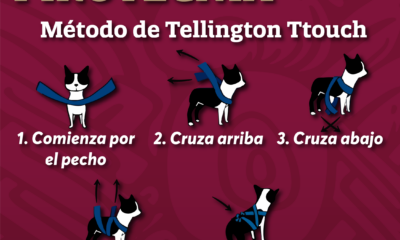 IMÁGENES: https:/ /we.tl/t-Mao9OQ7OJx