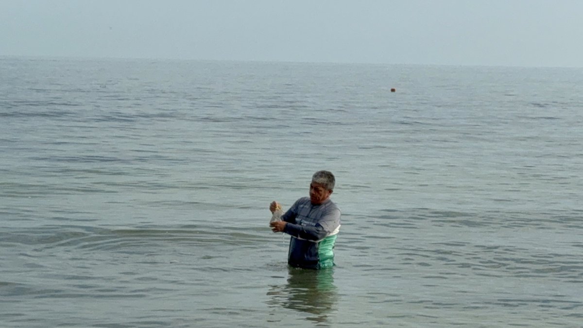 REPORTAN PLAYAS LIMPIAS Y LIBRES DE RIESGOS SANITARIOS