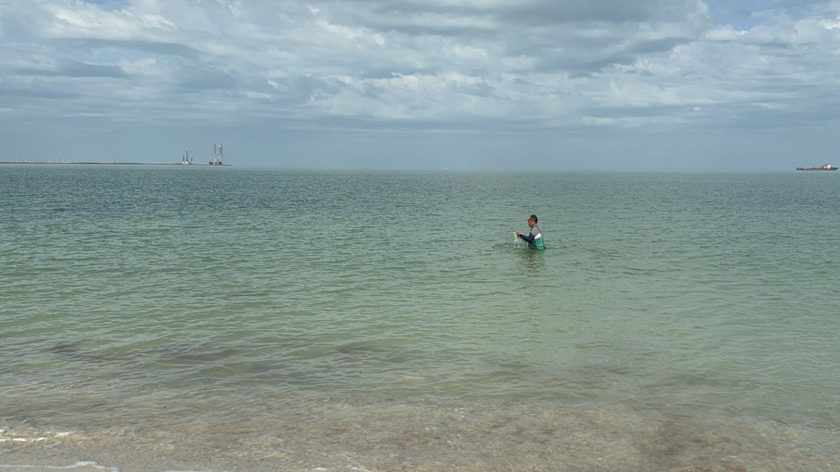REPORTAN PLAYAS LIMPIAS Y LIBRES DE RIESGOS SANITARIOS