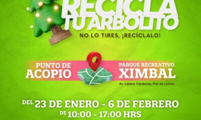 INICIA CAMPAÑA DE ACOPIO DE PINOS NATURALES