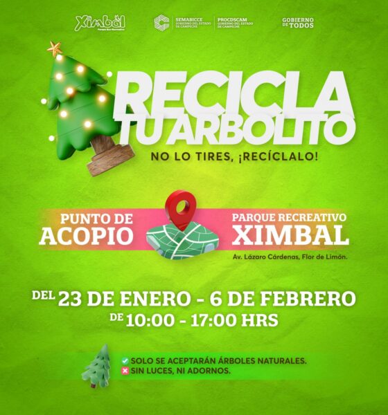 INICIA CAMPAÑA DE ACOPIO DE PINOS NATURALES