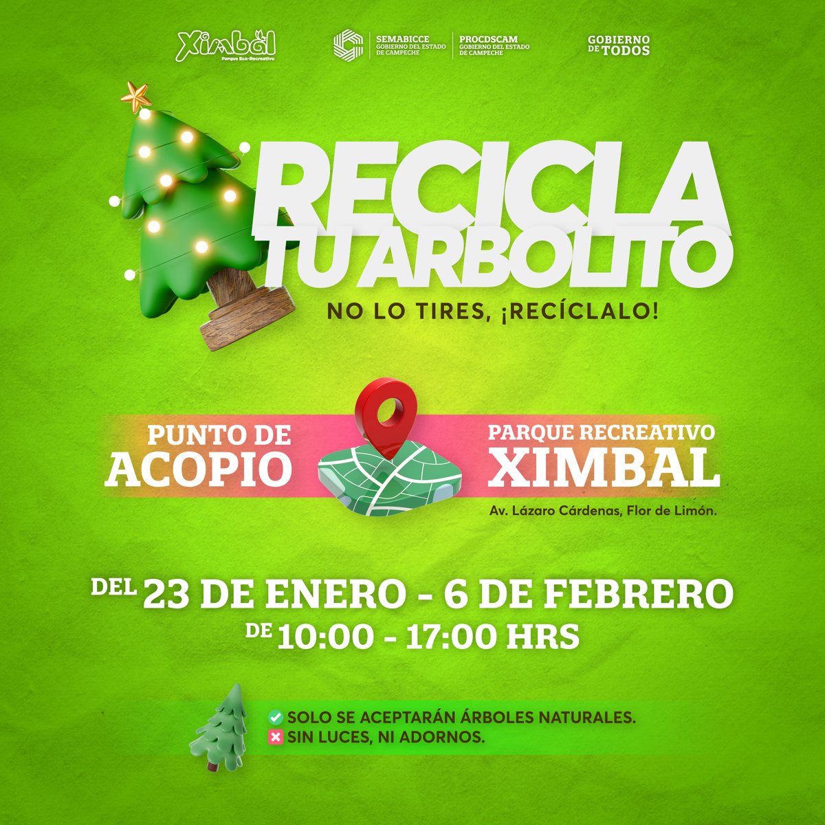 INICIA CAMPAÑA DE ACOPIO DE PINOS NATURALES