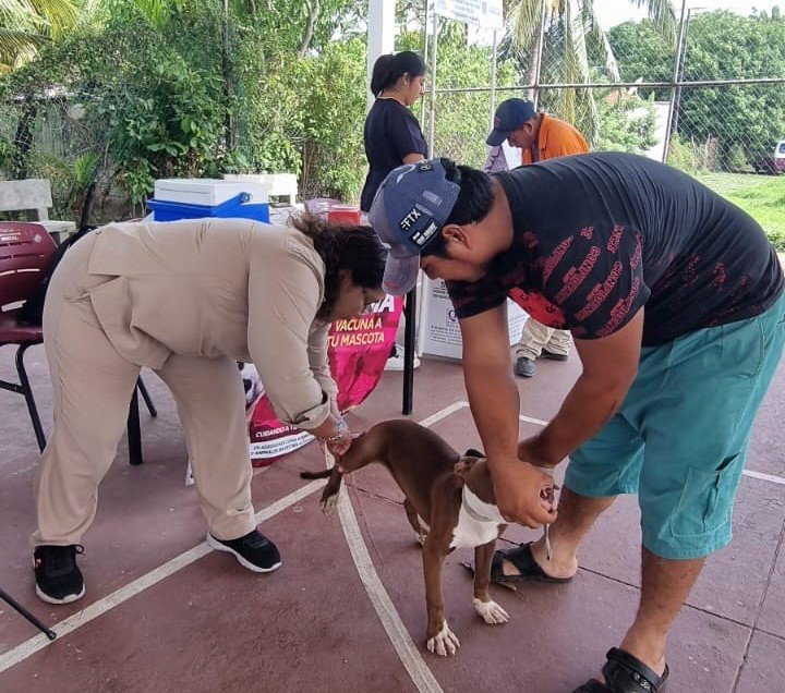 LLEGAN SERVICIOS GRATUITOS DE SALUD EN TU BARRIO A PUERTO RICO, CARMEN