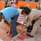PROTEGIDOS CONTRA LA RABIA, MÁS DE CUATRO MIL PERROS Y GATOS EN CAMPECHE