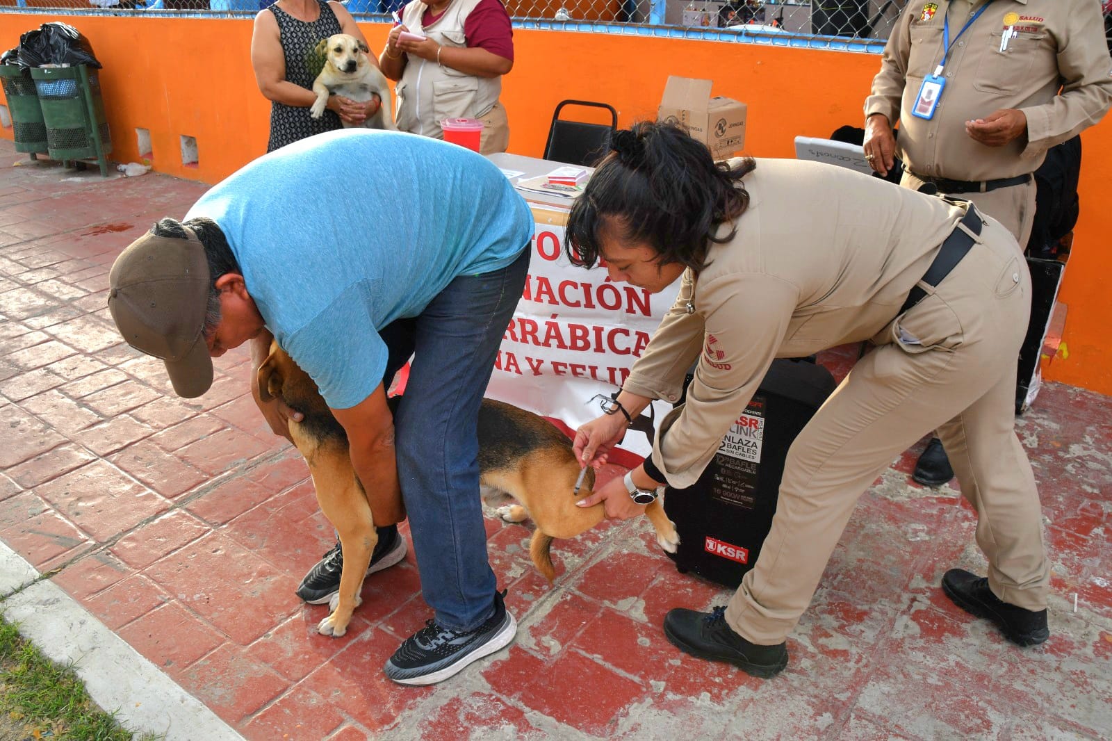 PROTEGIDOS CONTRA LA RABIA, MÁS DE CUATRO MIL PERROS Y GATOS EN CAMPECHE