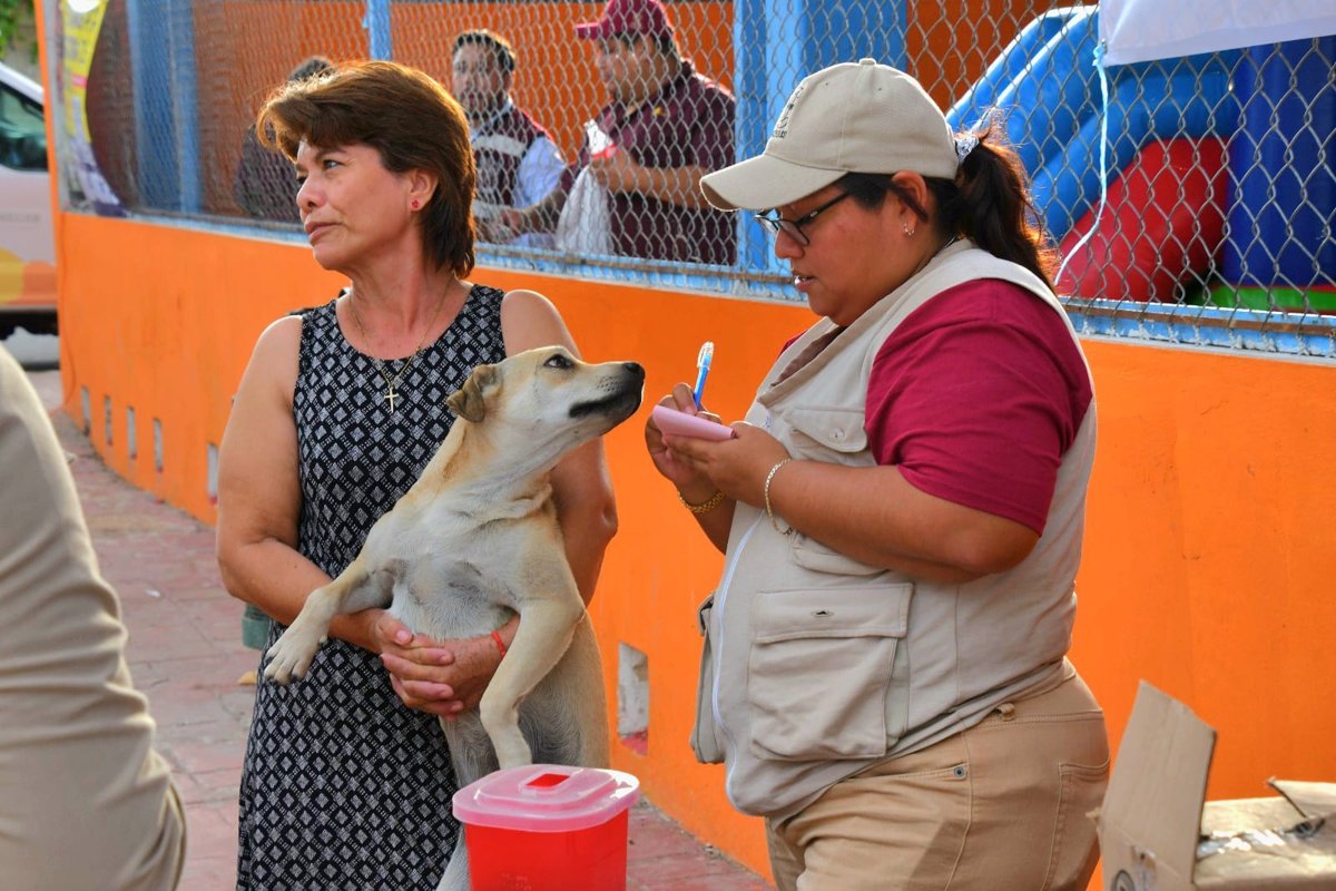 PROTEGIDOS CONTRA LA RABIA, MÁS DE CUATRO MIL PERROS Y GATOS EN CAMPECHE