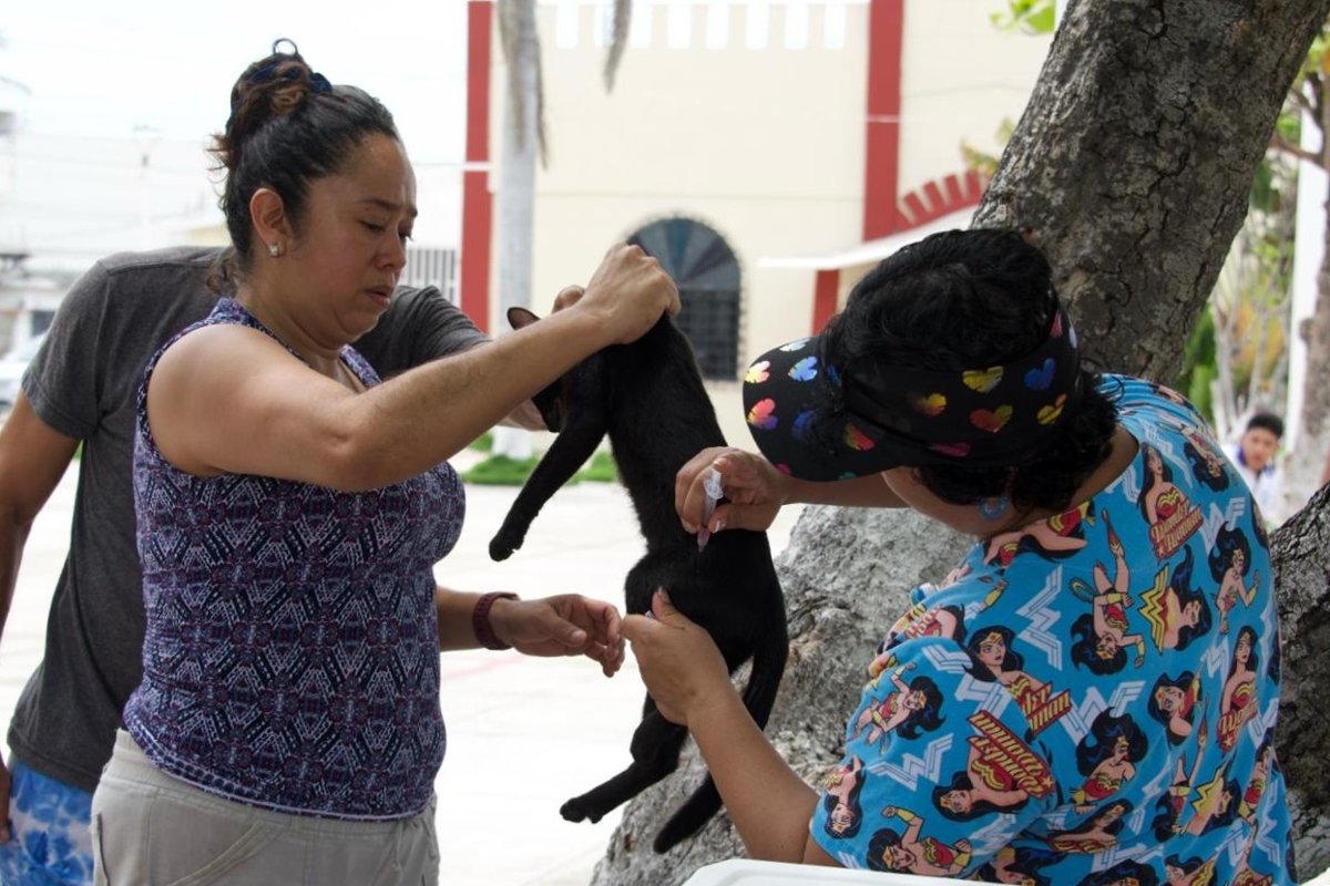 COBERTURA PERMANENTE DE VACUNACIÓN PARA MANTENER A CAMPECHE LIBRE DE RABIA