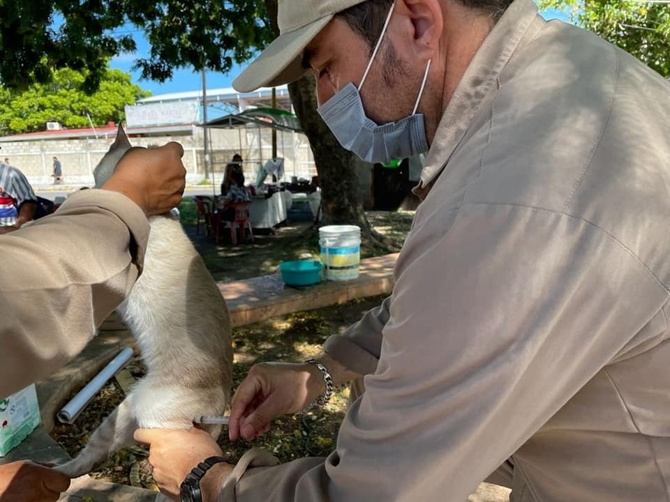 COBERTURA PERMANENTE DE VACUNACIÓN PARA MANTENER A CAMPECHE LIBRE DE RABIA