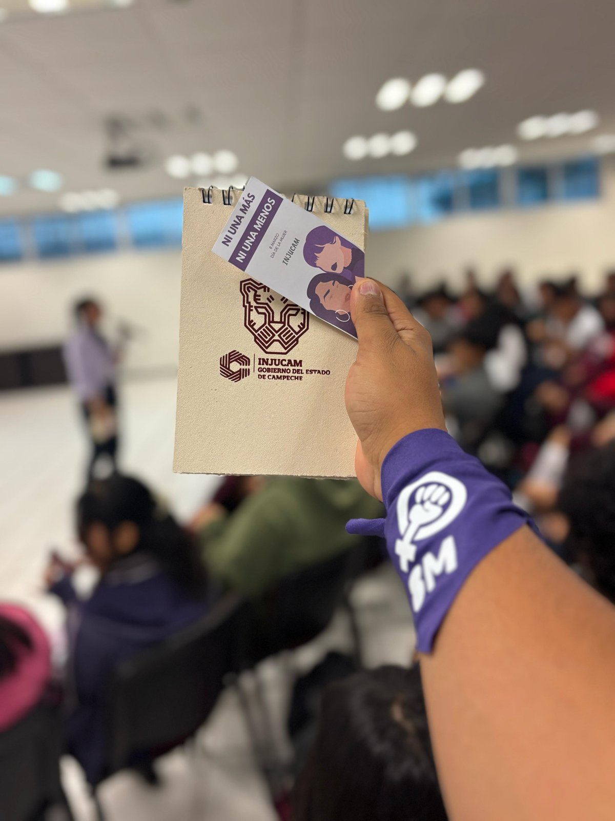 REALIZA INJUCAM CHARLA SOBRE SALUD MENTAL