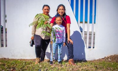 LA SDA REALIZA RESCATE DE ÁREAS VERDES EN LA SALA DE JUICIOS ORALES