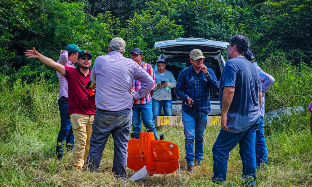 COMPROMISO CLAVE: EL RESCATE DEL ARROZ EN CAMPECHE