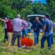 COMPROMISO CLAVE: EL RESCATE DEL ARROZ EN CAMPECHE