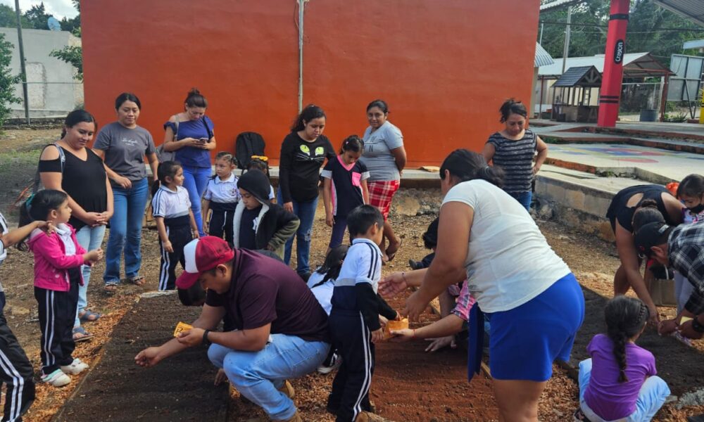 ESTABLECIMIENTO DE HUERTO ESCOLAR EN DZIBALCHÉN