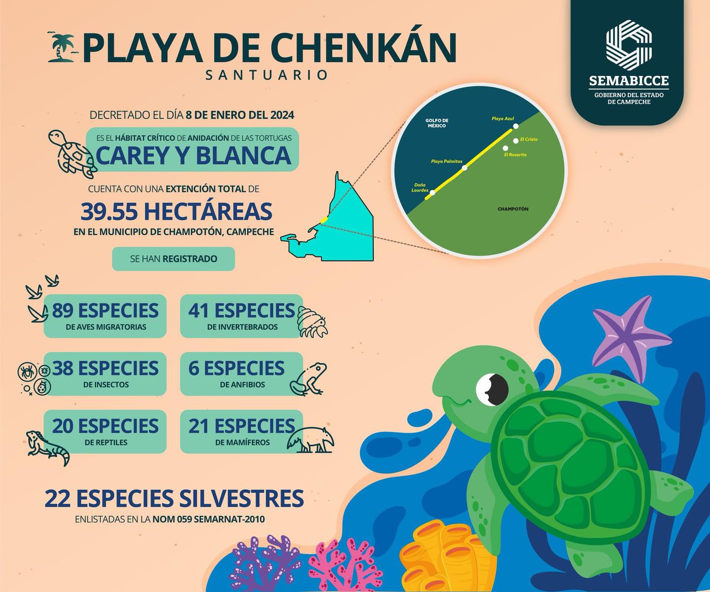 1er ANIVERSARIO DEL DECRETO DEL SANTUARIO PLAYA CHENKAN Y EL PARQUE NACIONAL NUEVO UXMAL