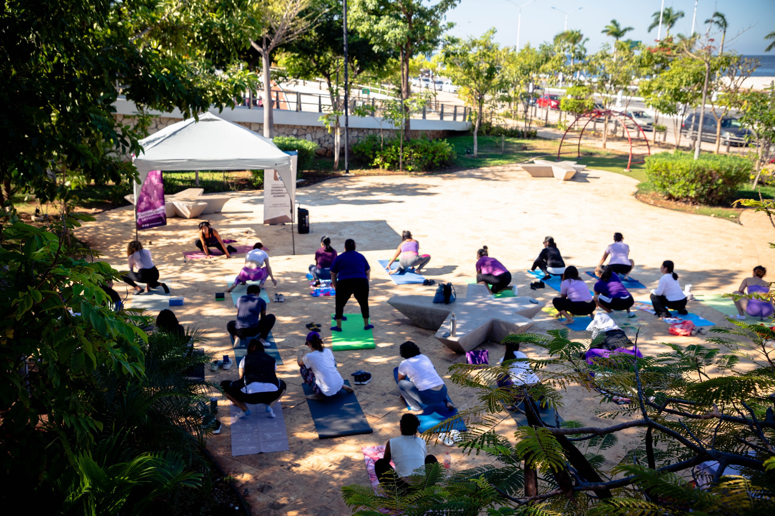 CONECTA Y FLORECE: UNA EXPERIENCIA PARA RENOVAR CUERPO Y MENTE